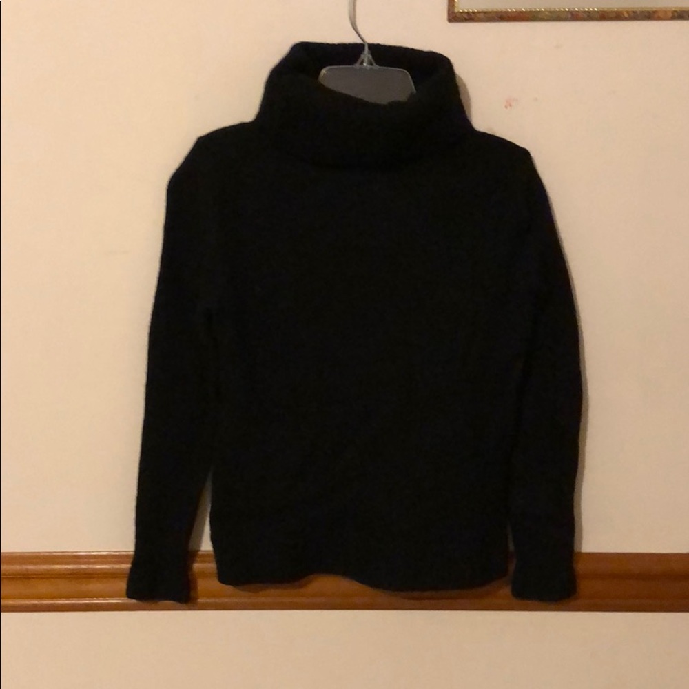Jcrew turtleneck sweater